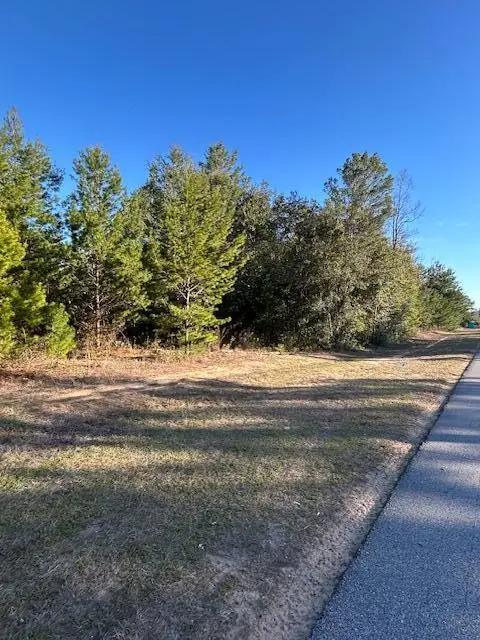 TBD Farm Life Road, Milton, FL 32583 - #3