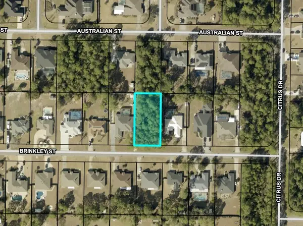 7238 Brinkley Street, Navarre, FL 32566