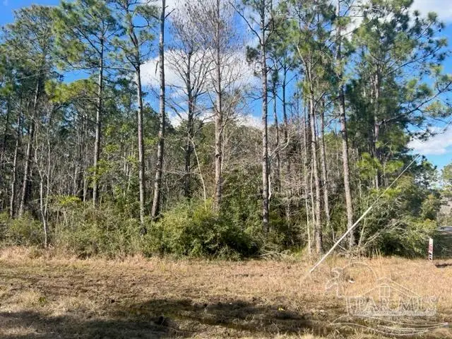 1B Buffler Dr, Milton, FL 32583 - #1