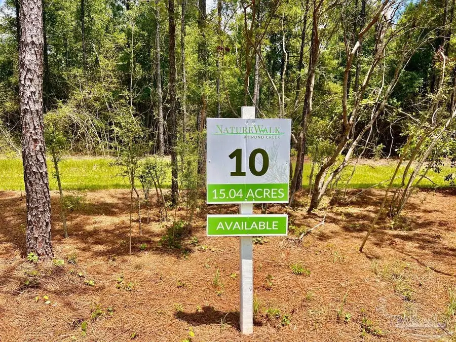 Lot 10 Naturewalk Dr, Jay, FL 32565 - #2