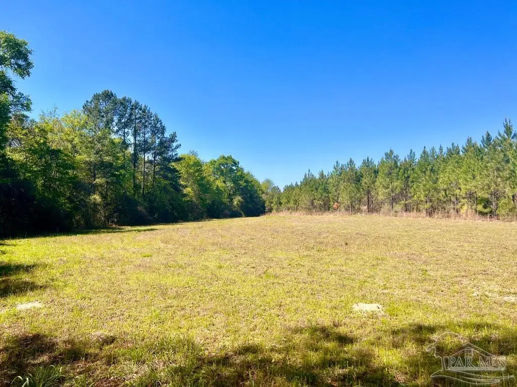 Lot 16 Naturewalk Dr, Jay, FL 32565 - #1