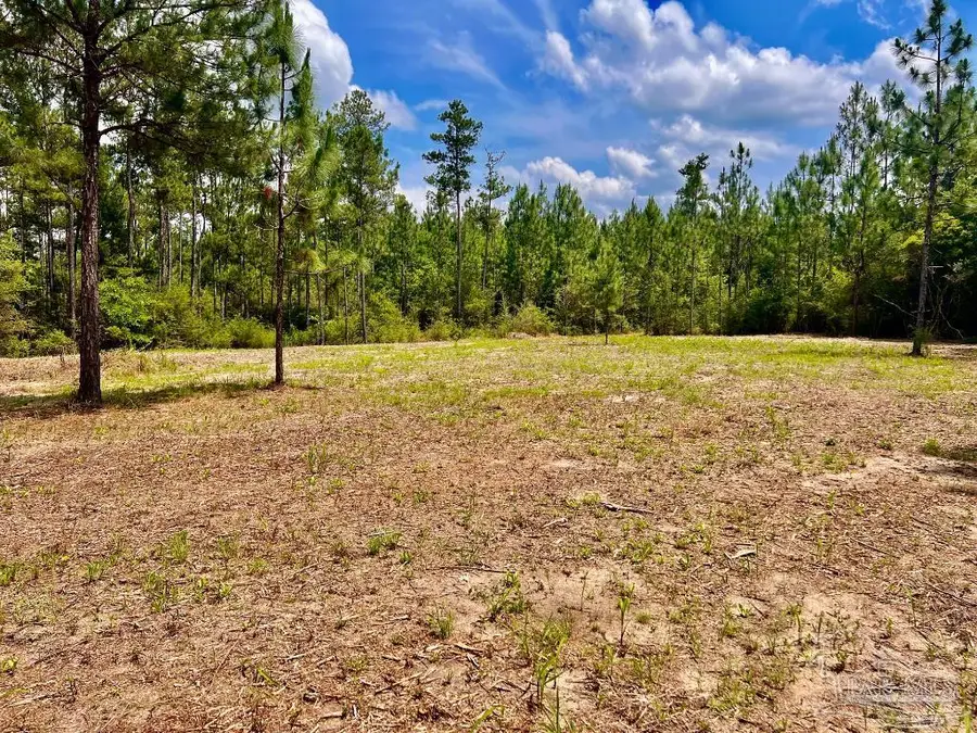 Lot 25 Ashbridge Ln, Jay, FL 32565 - #2