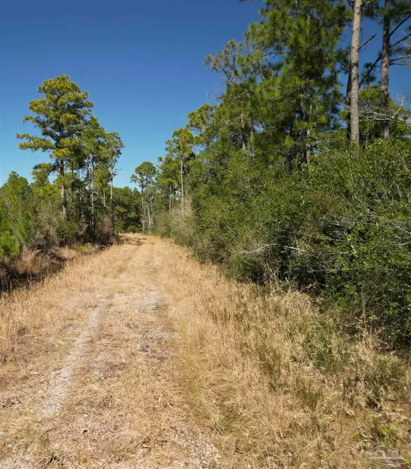 Robinson Point Rd, Milton, FL 32583