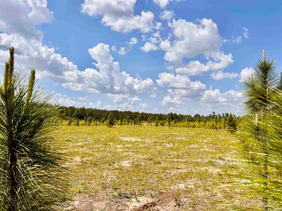 Lot 49 South Timber Ln, Jay, FL 32565 - #3