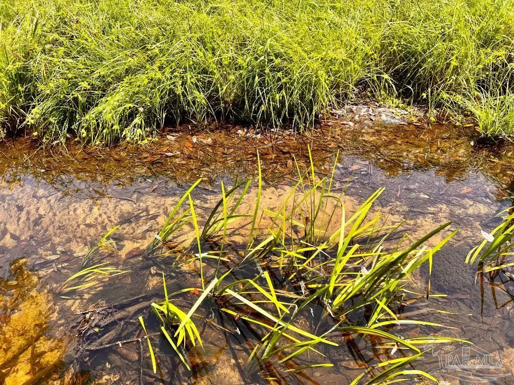 Lot 95 Turning Leaf Rd, Jay, FL 32565 - #1