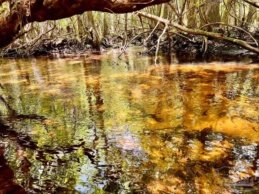 Lot 96 Turning Leaf Rd, Jay, FL 32565 - #1