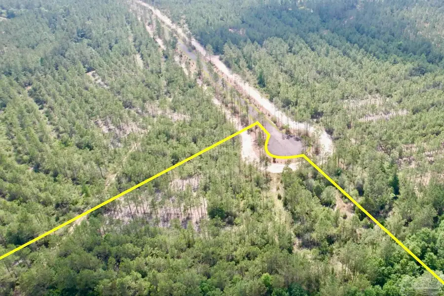 Lot 96 Turning Leaf Rd, Jay, FL 32565 - #2