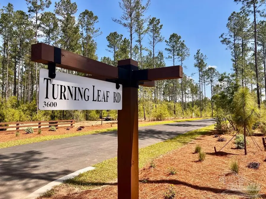 Lot 96 Turning Leaf Rd, Jay, FL 32565 - #3