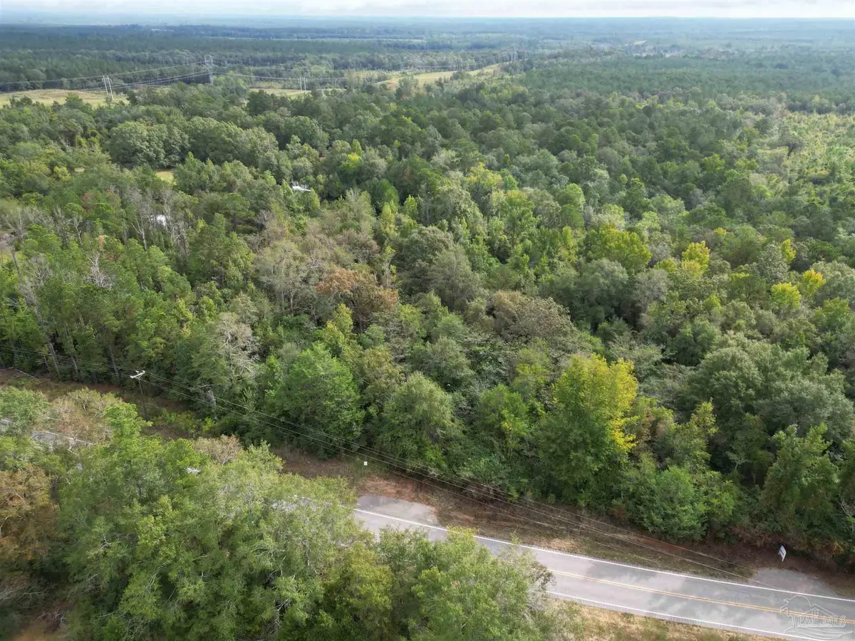 17606 Hwy 41, Brewton, AL 36426 - Image #1