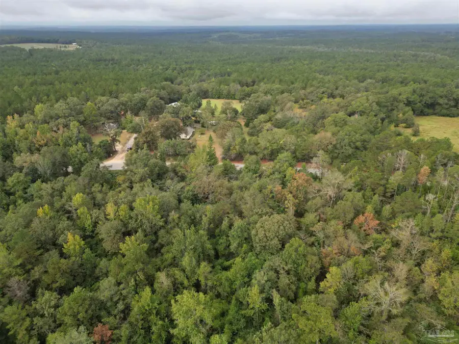 17606 Hwy 41, Brewton, AL 36426 - Image #3