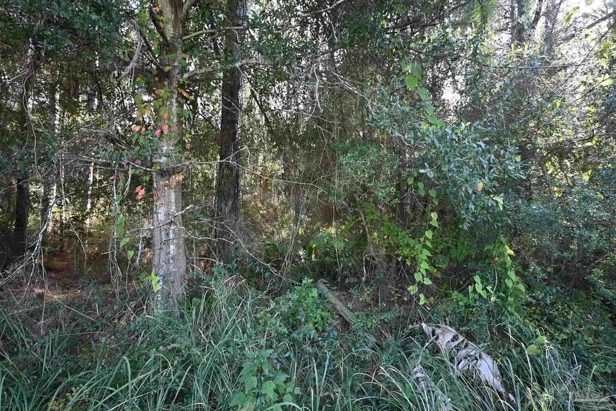 6421 Michigan Ave, Milton, FL 32583 - #1