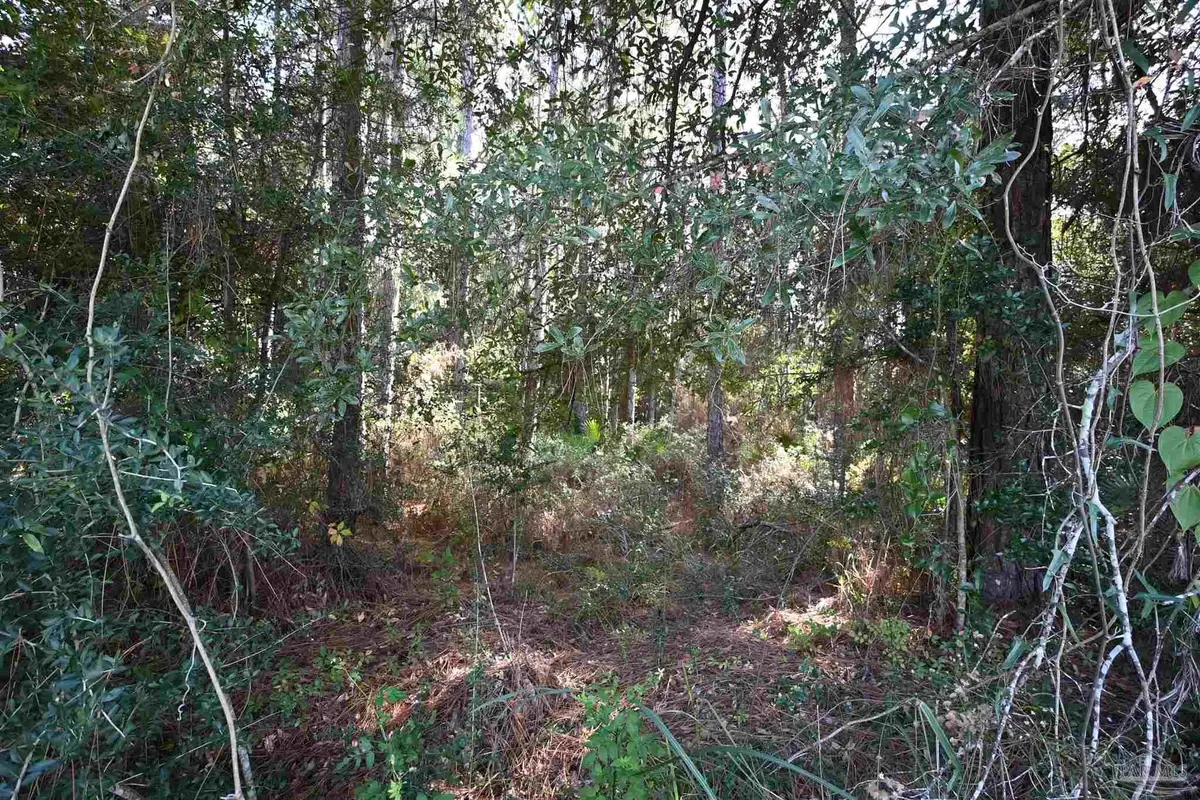 6417 Dickerson City Rd, Milton, FL 32583 - #1