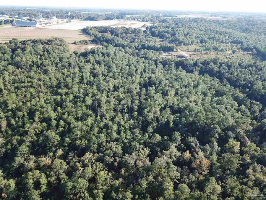 108+/- acres Wiley Scott Rd, Jay, FL 32565 - Image #3