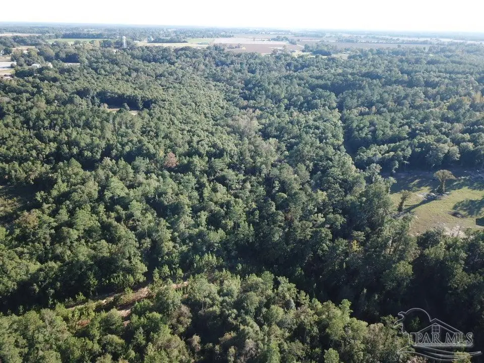 8+/- acres Wiley Scott Rd, Jay, FL 32565 - Image #1