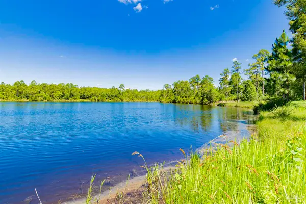 0 Red Feather Dr #Parcel 5, Seminole, AL 36574