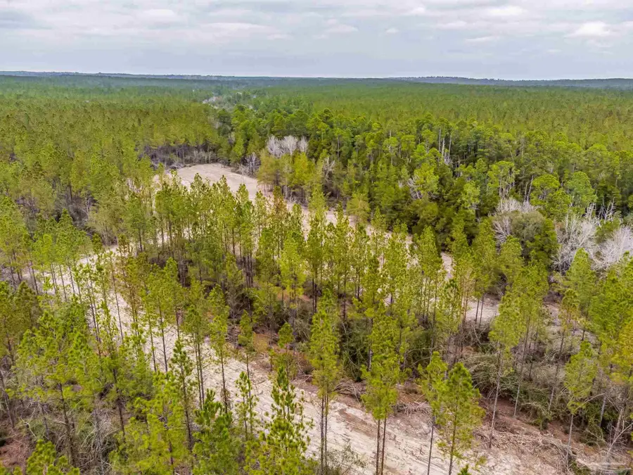 8997 Indian Ford Rd #Parcel A 22+/- Acres (Approximately), Milton, FL 32570 - Image #2