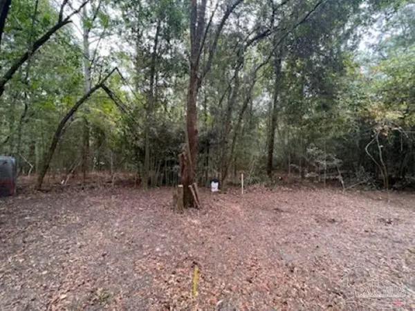 1329 Beaver Dam Ln, Bonifay, FL 32425