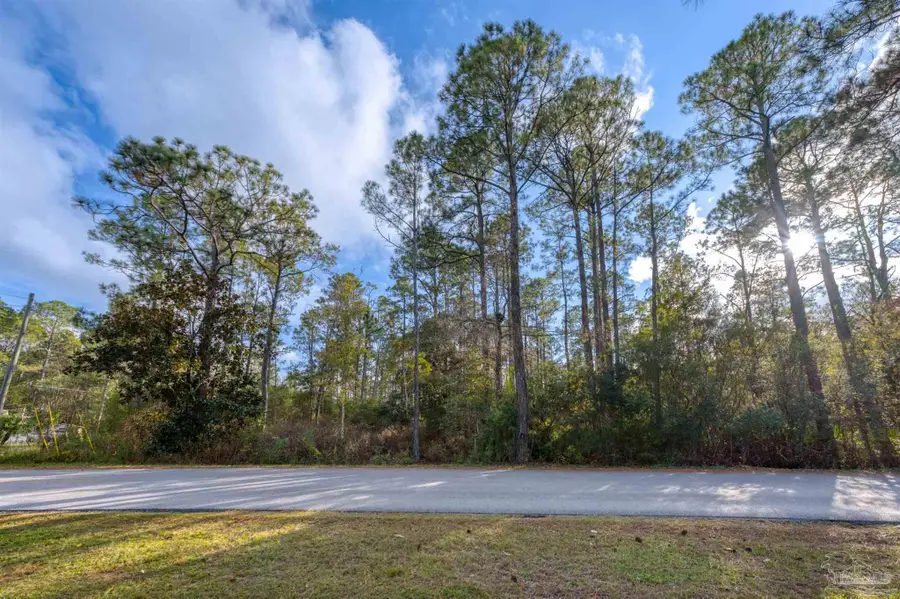 00 Mullet Dr, Freeport, FL 32439 - Image #2