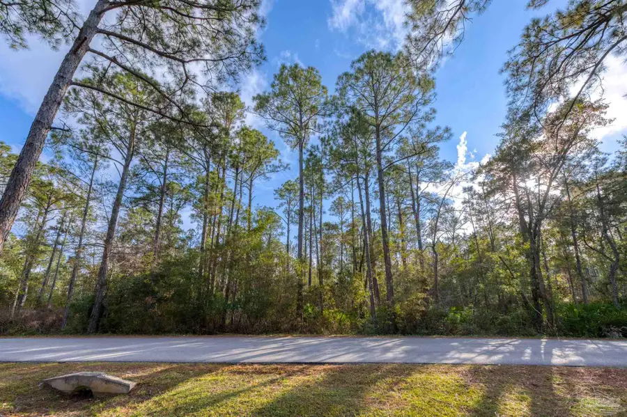 00 Mullet Dr, Freeport, FL 32439 - Image #3