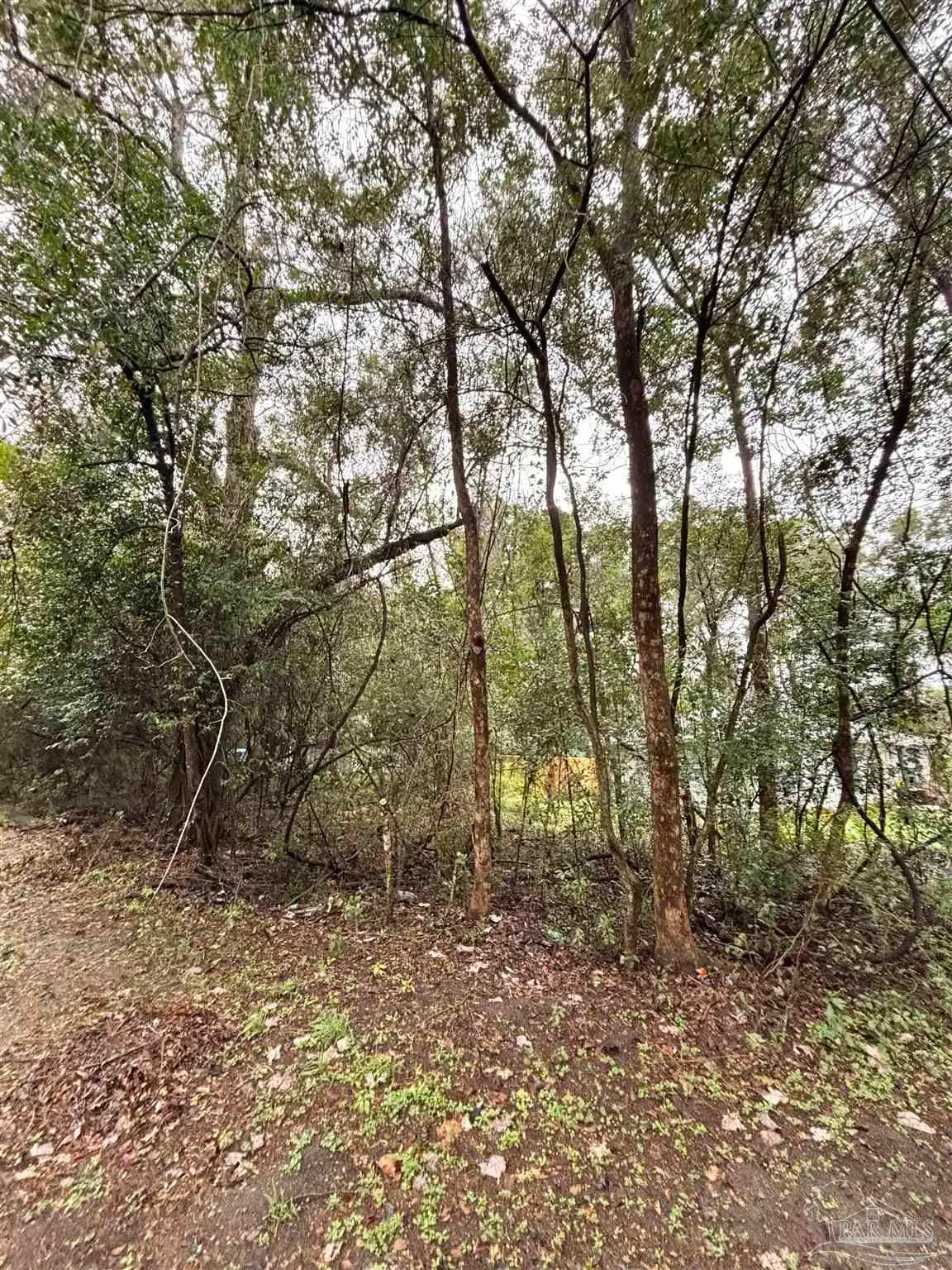 0000 Limit St, Milton, FL 32583 - Image #1