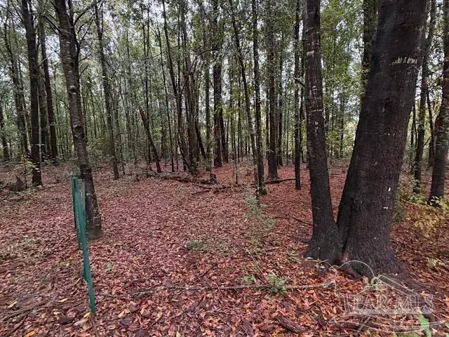 3218 Archies Way, Pace, FL 32571 - #2