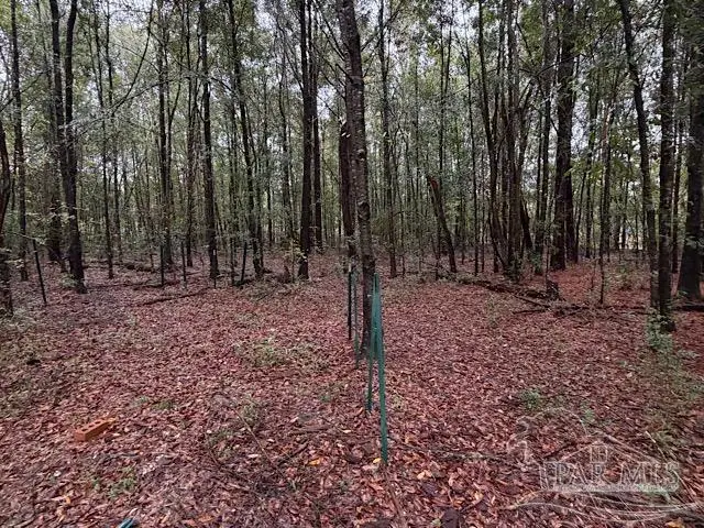 3218 Archies Way, Pace, FL 32571 - #3