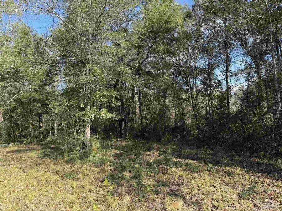 000 Hwy 95 A, Cantonment, FL 32533 - Image #2