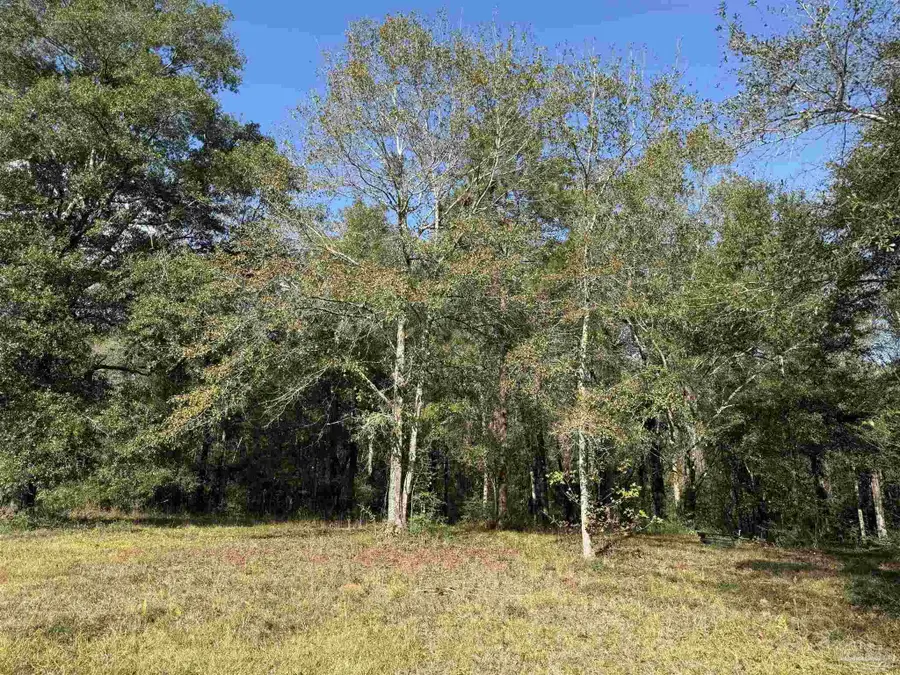 000 Hwy 95 A, Cantonment, FL 32533 - Image #3