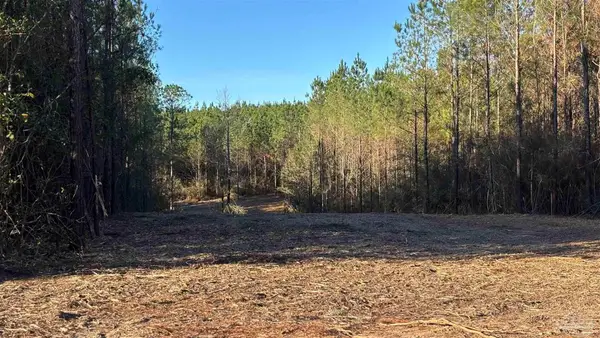 lot 58 Straw Bridge Rd, Allentown, FL 32565