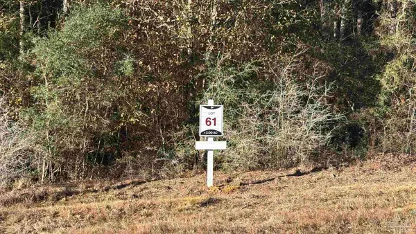 lot 61 Straw Bridge Rd, Allentown, FL 32565