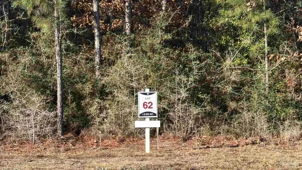 lot 62 Straw Bridge Rd, Allentown, FL 32565