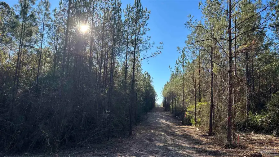 lot 70 Straw Bridge Rd, Allentown, FL 32565 - Image #3