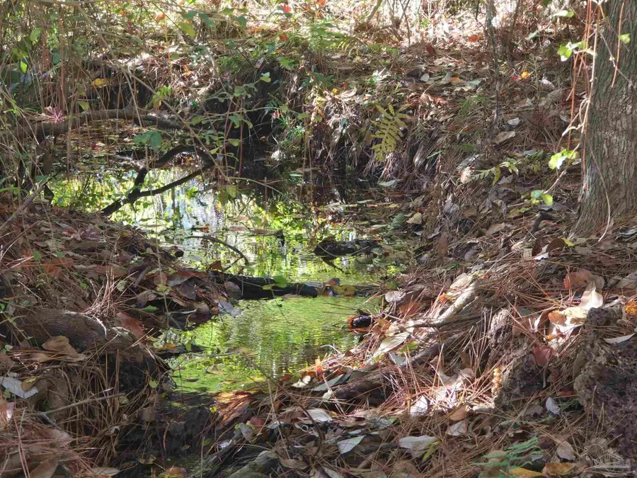 1821 Winding Creek Cir, Cantonment, FL 32533 - Image #3