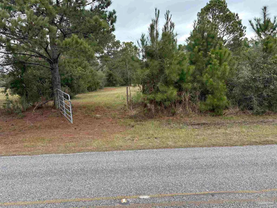 31849 Randolph Ave, Lillian, AL 36549 - Image #3