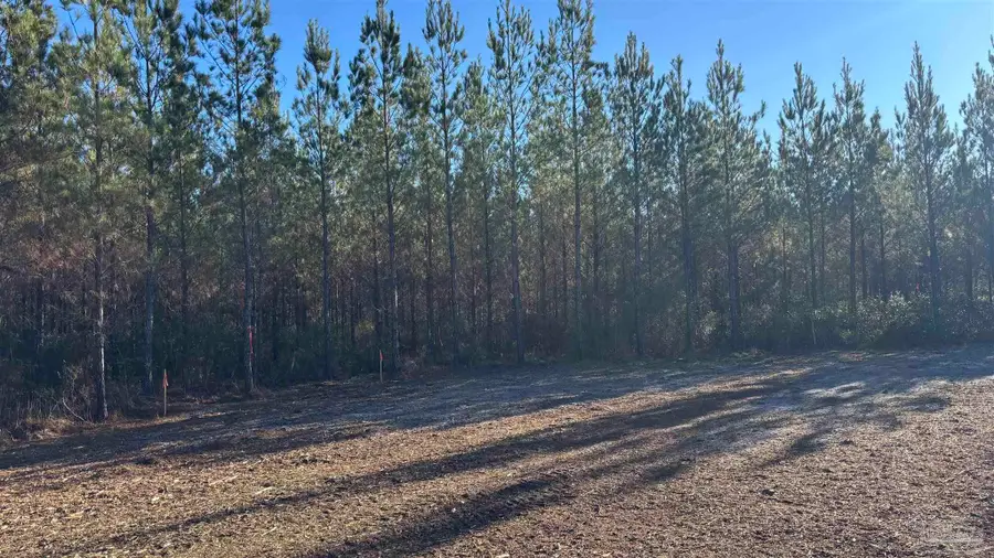 Lot 3 Hwy 89, Allentown, FL 32565 - Image #2