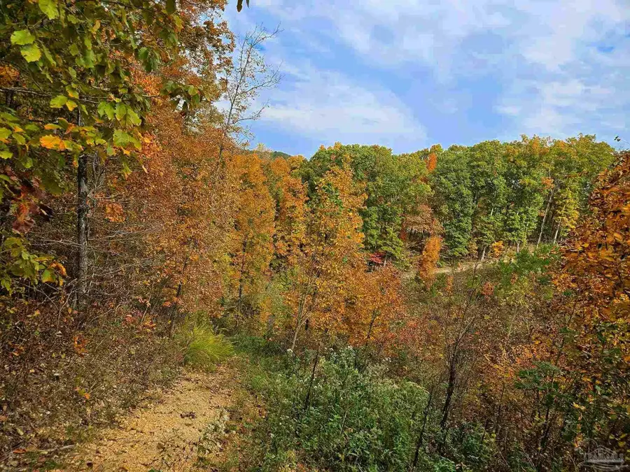 0 County Rd 79, Waterloo, AL 36577 - Image #3