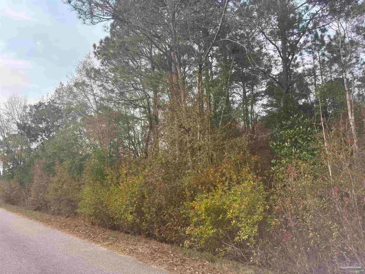 no address Balkom St, Milton, FL 32583 - #1