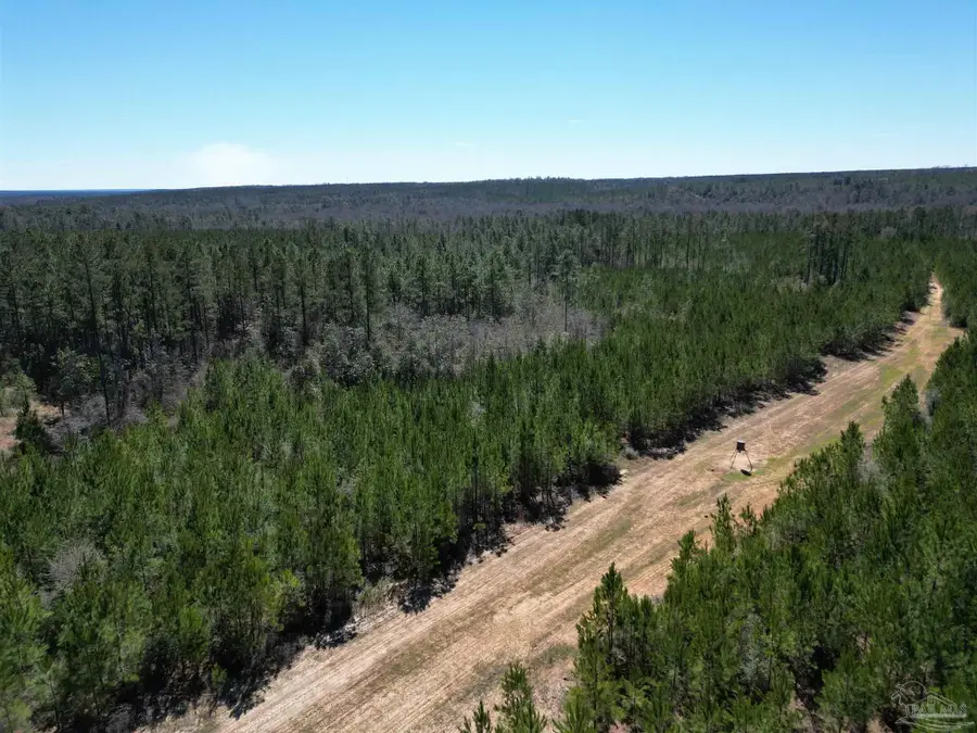 1 Robinsonville Rd, Atmore, AL 36502 - Image #2