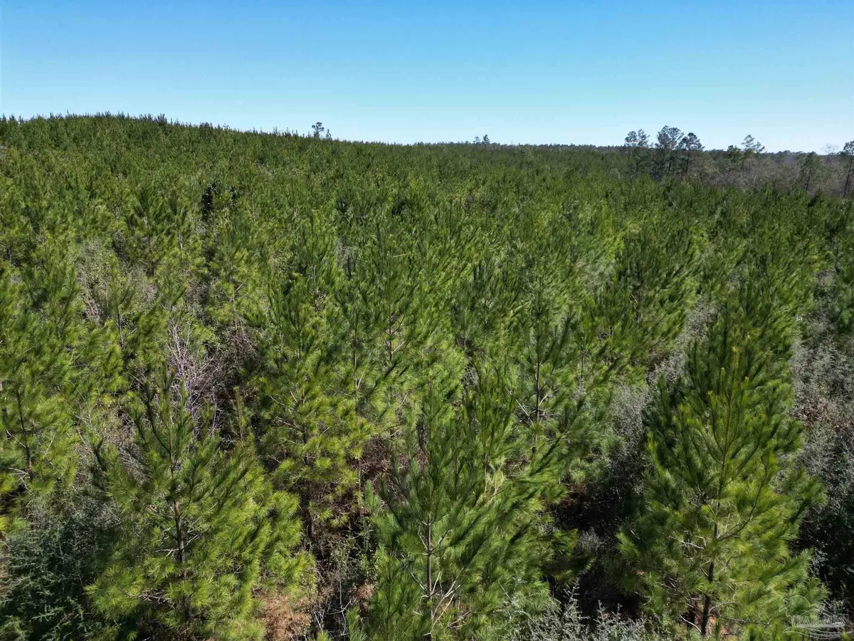 4 Robinsonville Rd, Atmore, AL 36502 - Image #1