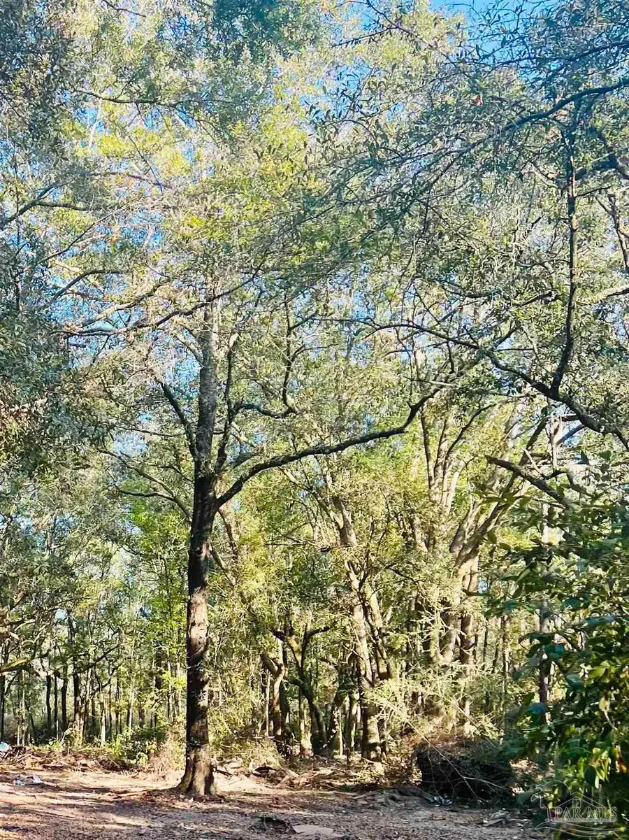 9499 Cornfield Way, Milton, FL 32583 - #3