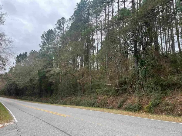 3000 Block N Pine Barren Rd, Mcdavid, FL 32568