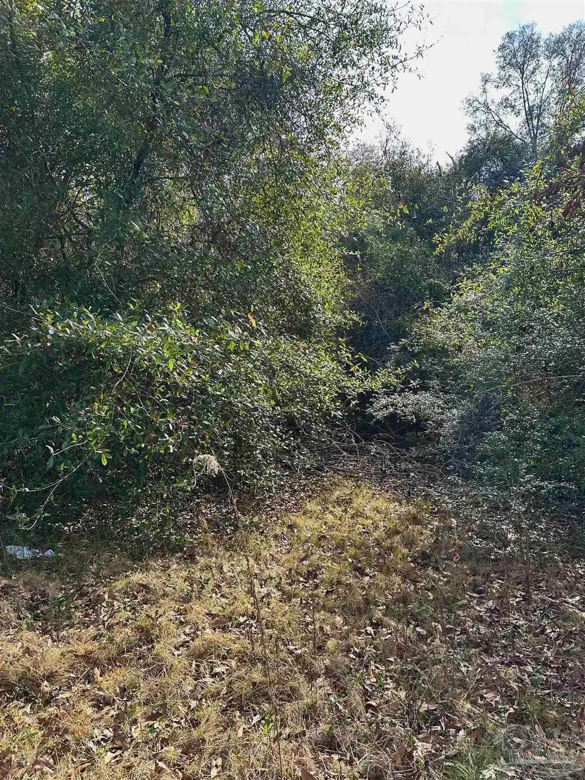 400 BLK N Century Blvd, McDavid, FL 32568 - #1