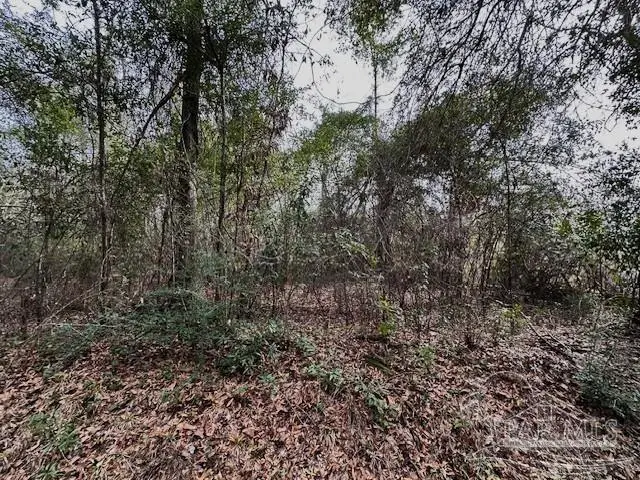 8 Blackmon St, Century, FL 32535 - Image #3