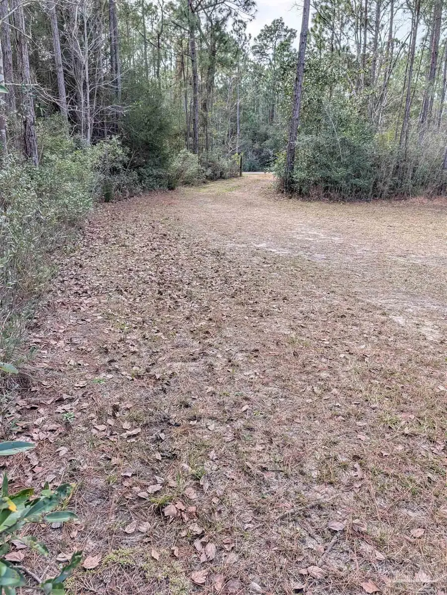 6618 Blackwater St, Milton, FL 32583 - Image #3