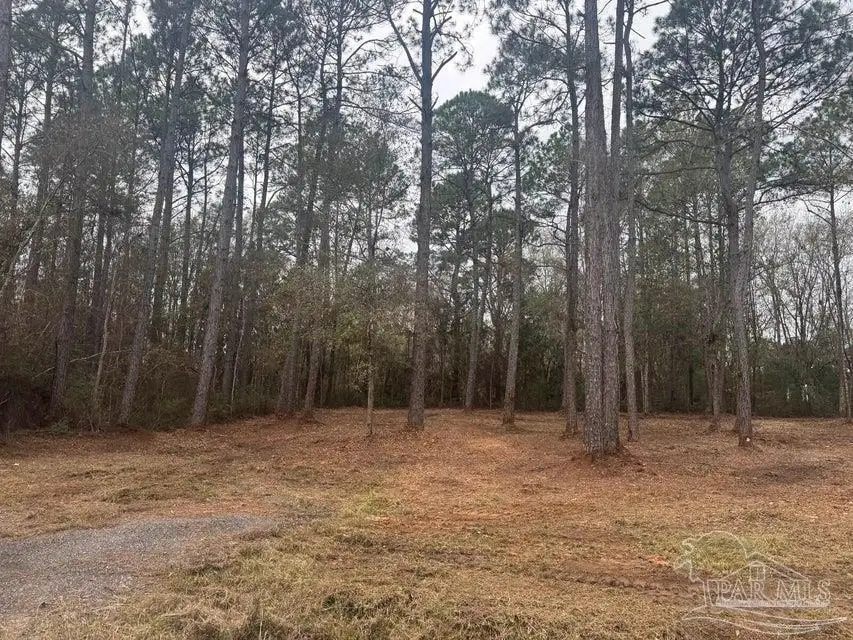 4579 Lakeview Dr, Milton, FL 32583 - Image #2