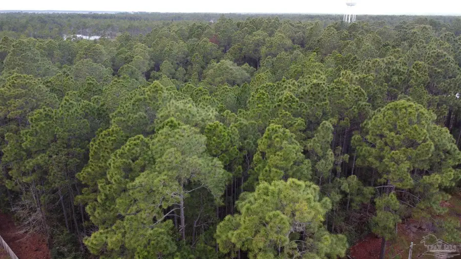 0000 Nowling Dr, Milton, FL 32583 - #3