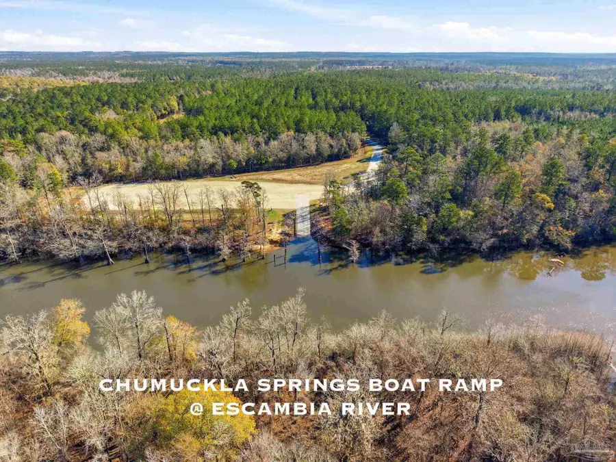 453 Mineral Springs Rd, Jay, FL 32565 - #3