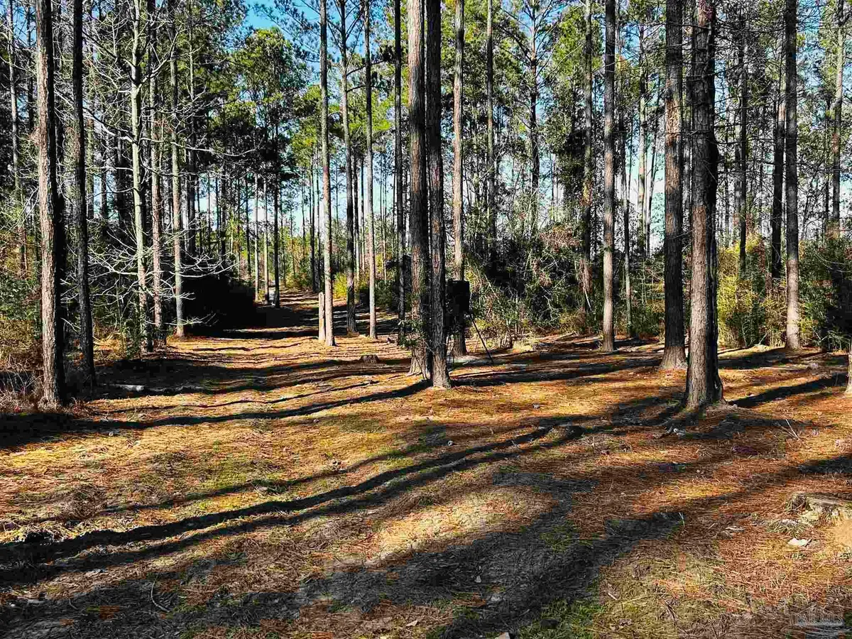 Lot 406 Country Mill Rd, Jay, FL 32565 - #1