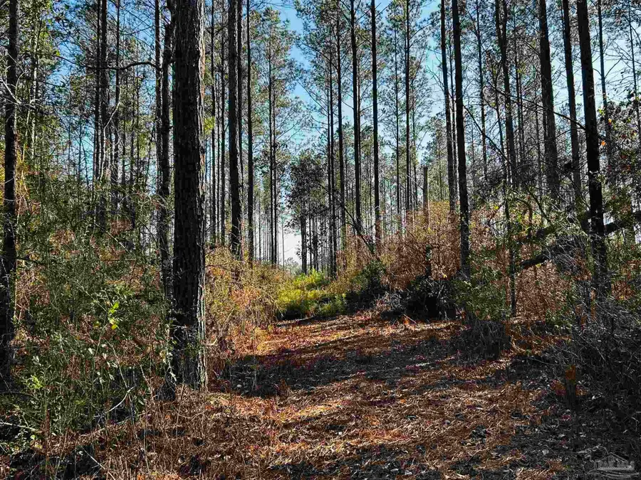 Lot 406 Country Mill Rd, Jay, FL 32565 - #2