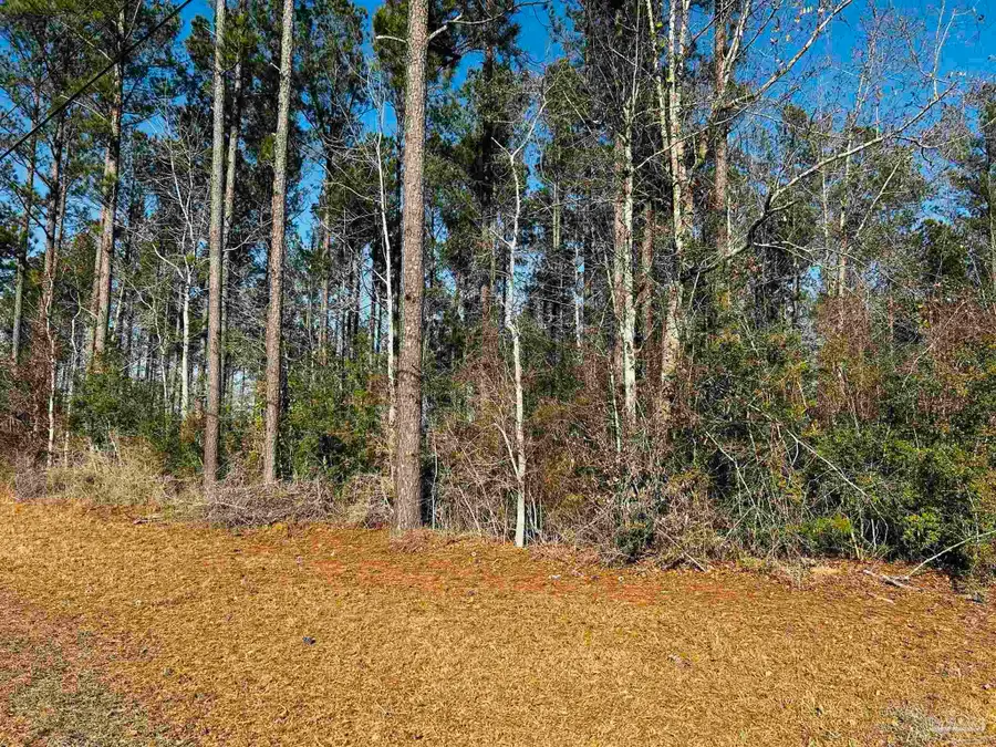 Lot 406 Country Mill Rd, Jay, FL 32565 - #3